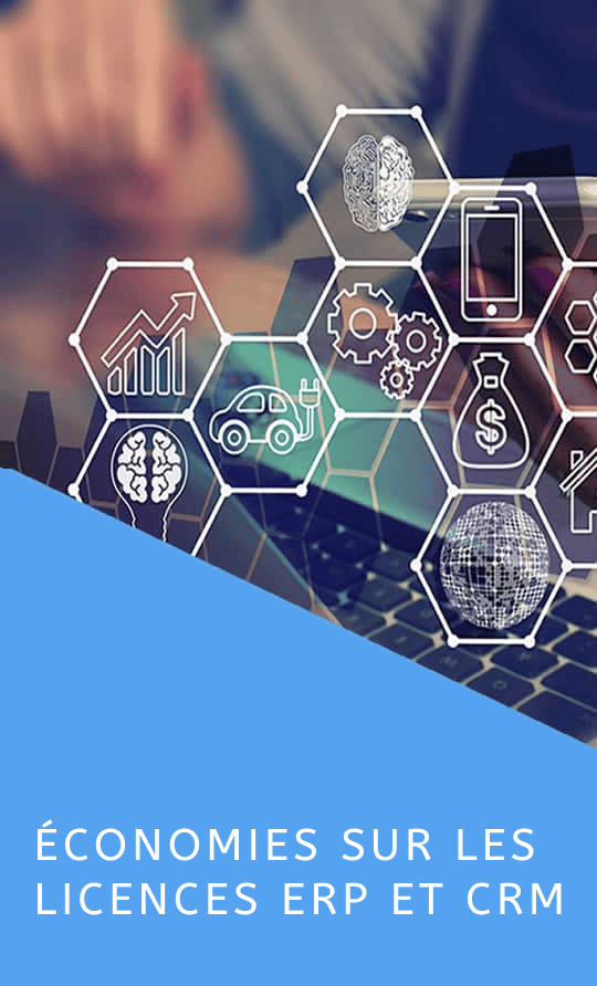 Économies sur les licences ERP et CRM