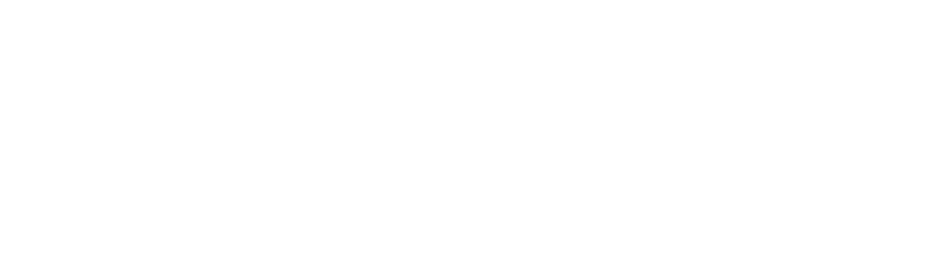 Success storie Aprolis - illusion Studio