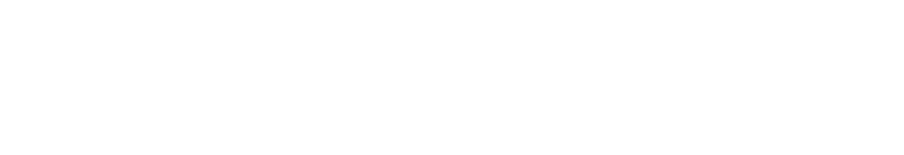 Success storie Anticimex - illusion Studio